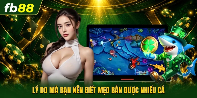 Mẹo Bắn Được Nhiều Cá Hiệu Quả, Dễ Áp Dụng Mỗi Ngày Tại FB88 1 Lý do mà bạn nên biết mẹo bắn được nhiều cá
