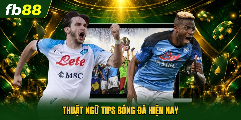 Tips Bóng Đá Chuẩn Xác Hiệu Quả Do Chuyên Gia Chia Sẻ 2026 1 Thuật ngữ tips bóng đá hiện nay