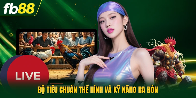 Bộ tiêu chuẩn thể hình và kỹ năng ra đòn
