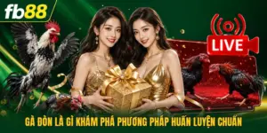 Gà Đòn Là Gì Khám Phá Phương Pháp Huấn Luyện Chuẩn