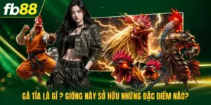 Gà Tía Là Gì ? Giống Này Sở Hữu Những Đặc Điểm Nào?