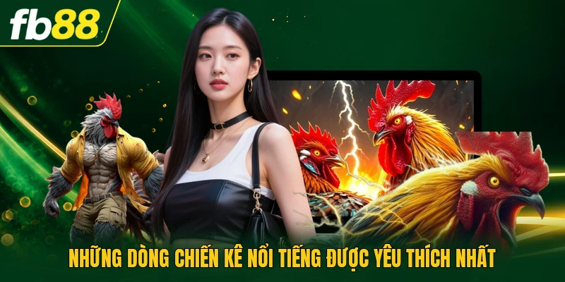 Gà Đòn Là Gì Khám Phá Phương Pháp Huấn Luyện Chuẩn Nhất 2 Những dòng chiến kê nổi tiếng được yêu thích nhất